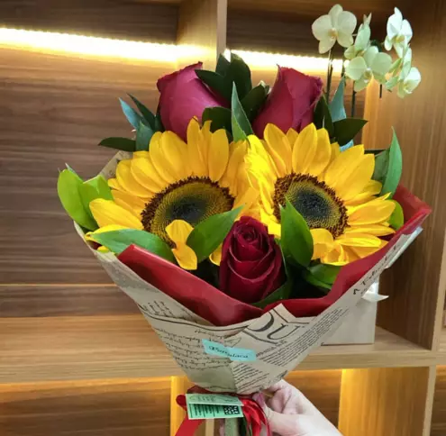 Floricultura Portulaca