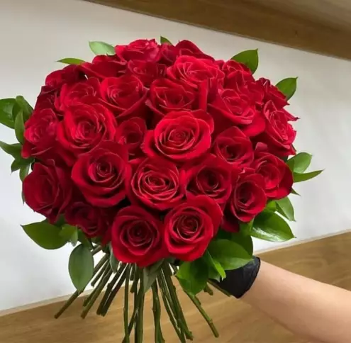 Floricultura Portulaca